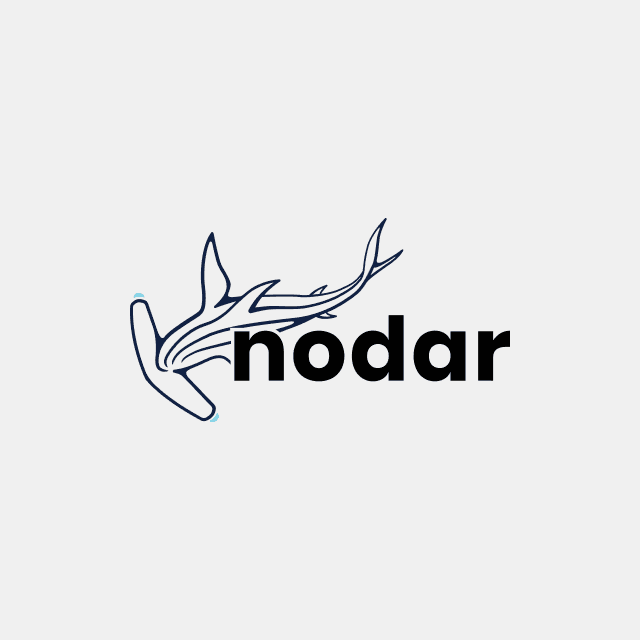 NODAR